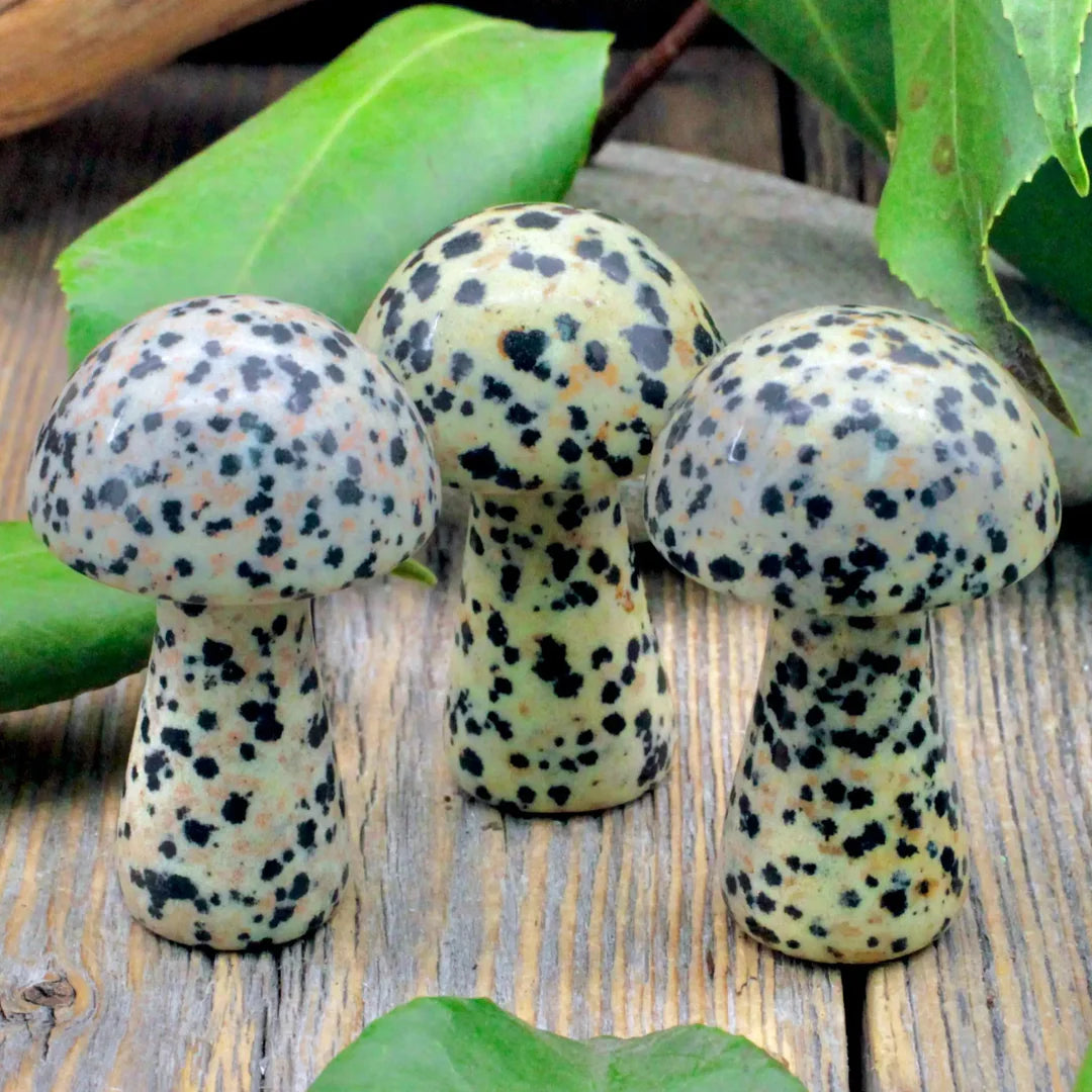 Mini Crystal Mushrooms, Dalmatian Jasper